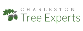 oApps Project - Charleston Tree Experts's Website